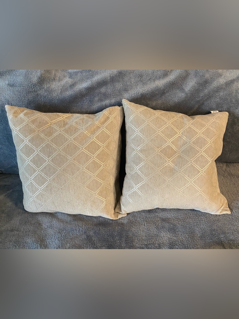 Gray with Silver-Pattern Throw Pillow Pair